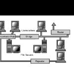 SOLUTION: Perangkat jaringan komputer - Studypool