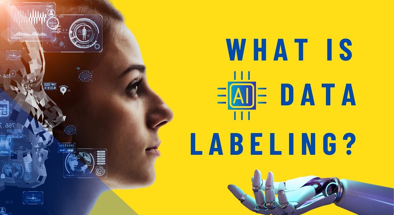 What is Data Labeling? Its Types, Role, Challenges and Solutions | AI ...