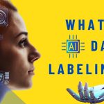 What is Data Labeling? Its Types, Role, Challenges and Solutions | AI ...