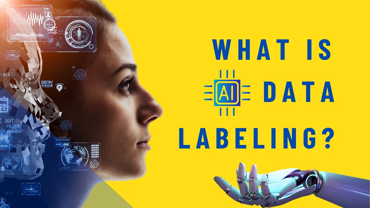 What is Data Labeling? Its Types, Role, Challenges and Solutions | AI ...